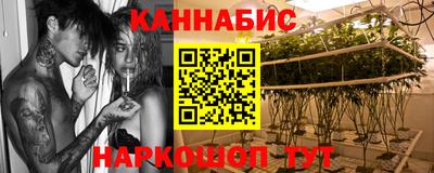 альфа пвп Новодвинск