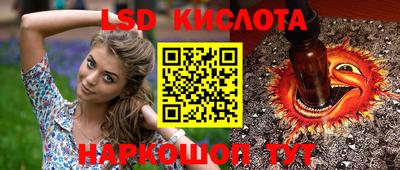 альфа пвп Новодвинск