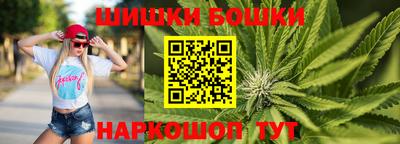 МДПВ Новокубанск