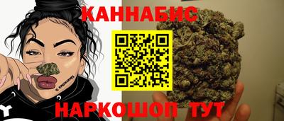 альфа пвп Новодвинск