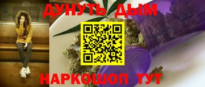 альфа пвп Новодвинск