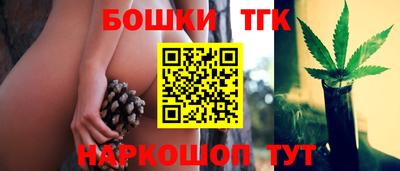 МДПВ Новокубанск