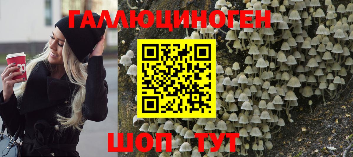 Псилоцибиновые грибы Psilocybine cubensis Советский