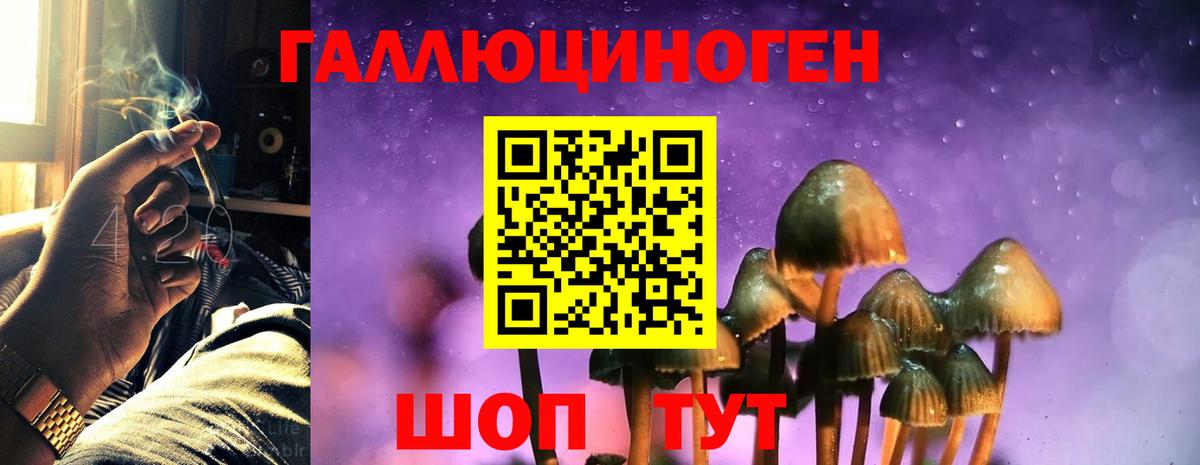 Псилоцибиновые грибы GOLDEN TEACHER  Вход с VPN  Советский  Псилоцибиновые грибы MAGIC MUSHROOMS 